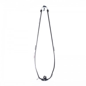 Purjelautailu purjepuomi